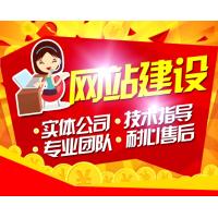 网站建设制作公司企业官网定制设计搭建购物商城网站开发建站